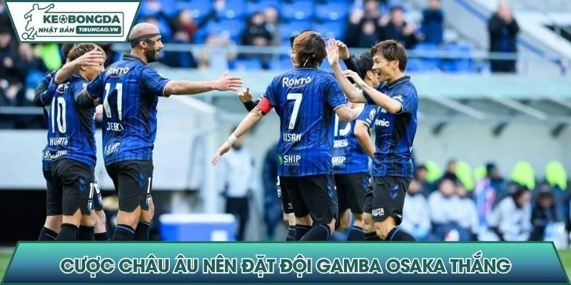 Cược châu Âu nên đặt đội Gamba Osaka thắng