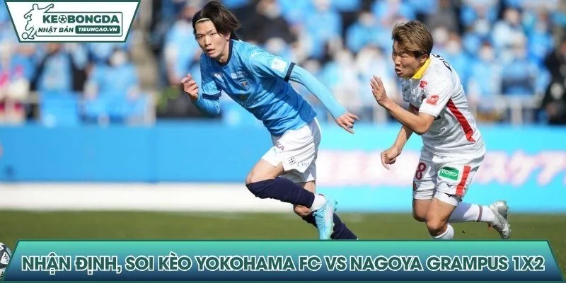 Nhận định, soi kèo Yokohama FC vs Nagoya Grampus 1x2