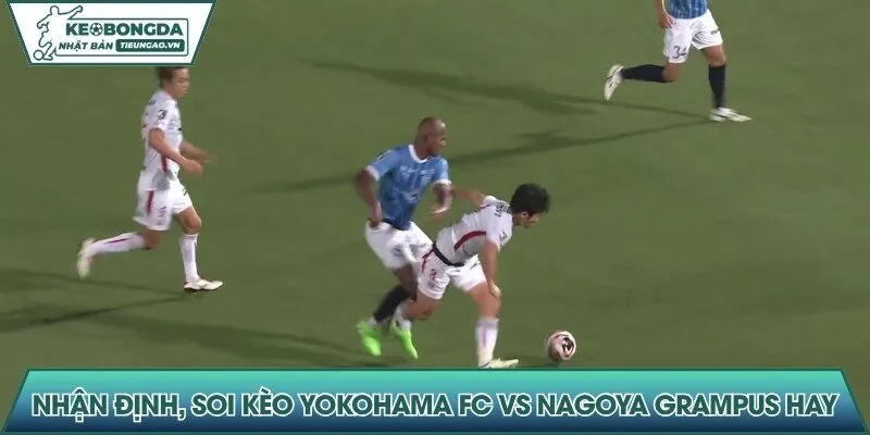 Nhận định, soi kèo Yokohama FC vs Nagoya Grampus hay