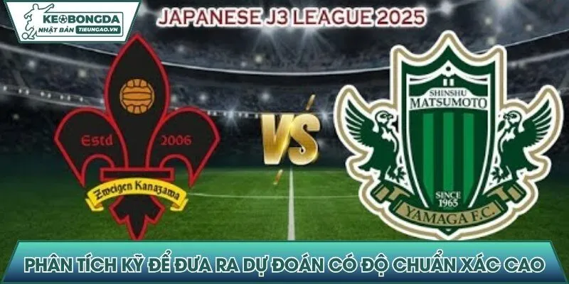 Phân tích kỹ để đưa ra dự đoán có độ chuẩn xác cao